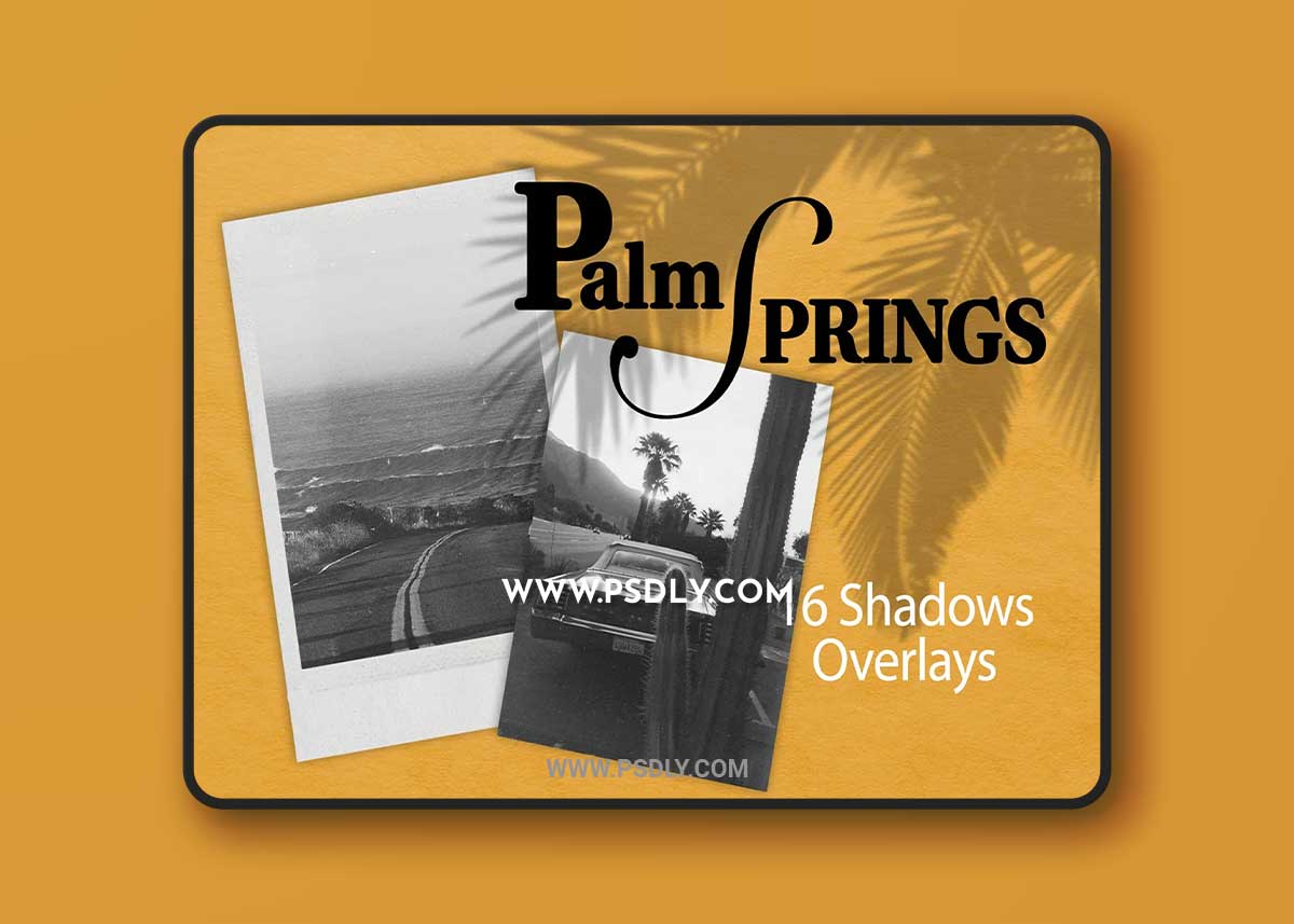 CreativeMarket - PALM SPRING | SHADOW OVERLAYS 7807140 1 CreativeMarket - PALM SPRING | SHADOW OVERLAYS 7807140