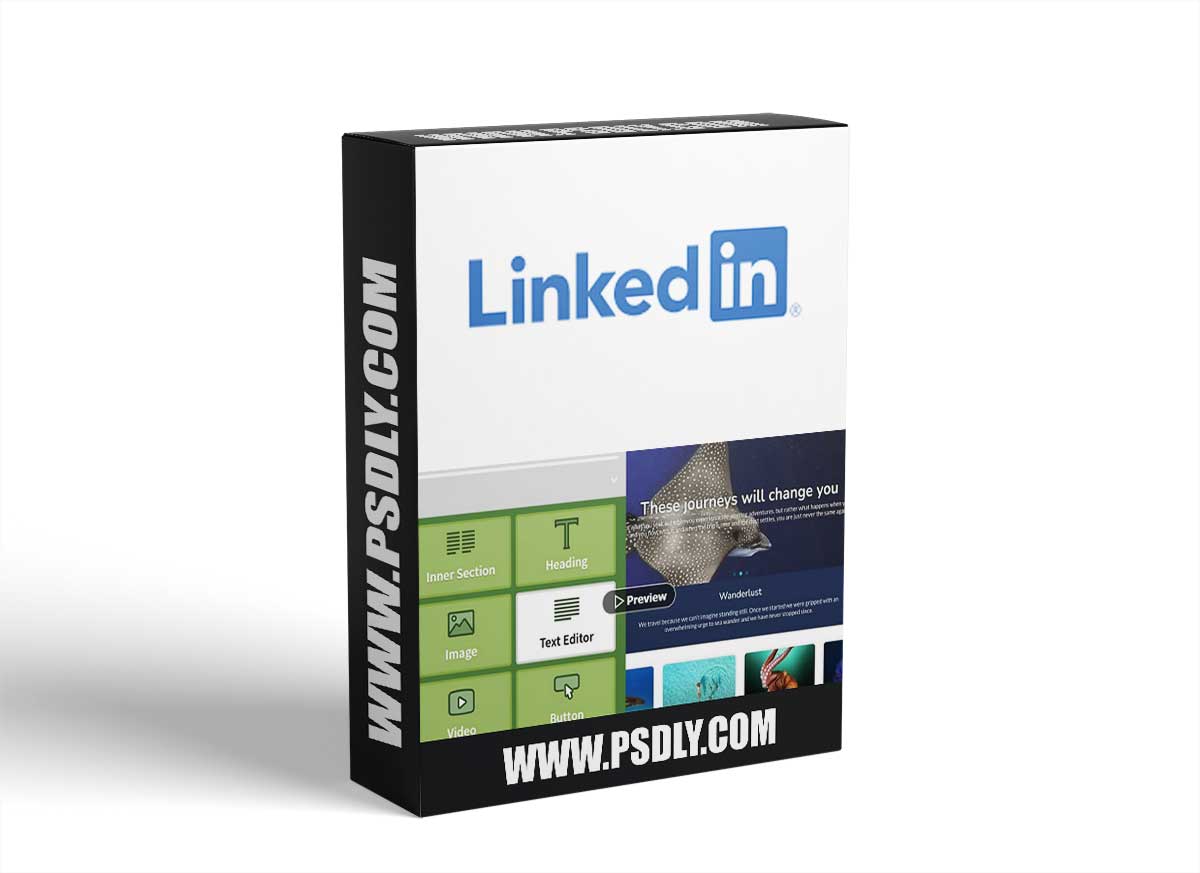Custom Theme Building with Elementor Pro 1 Custom Theme Building with Elementor Pro