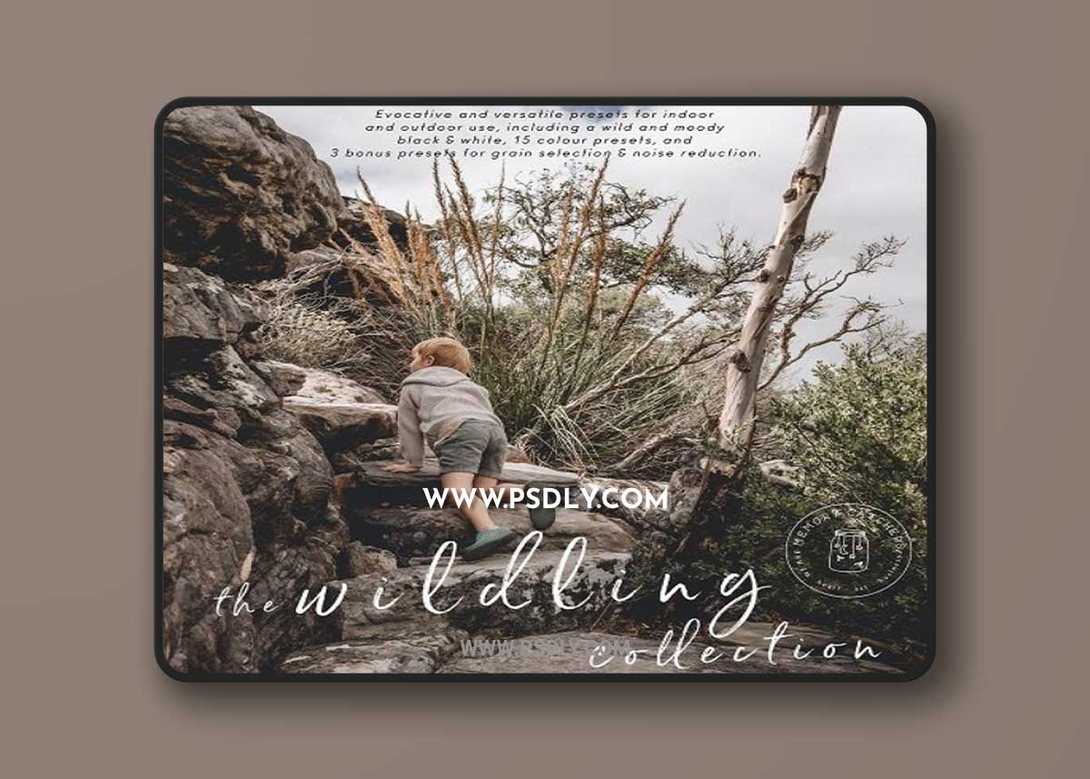 Memory Catchers - The Wildling Collection 1 Memory Catchers - The Wildling Collection