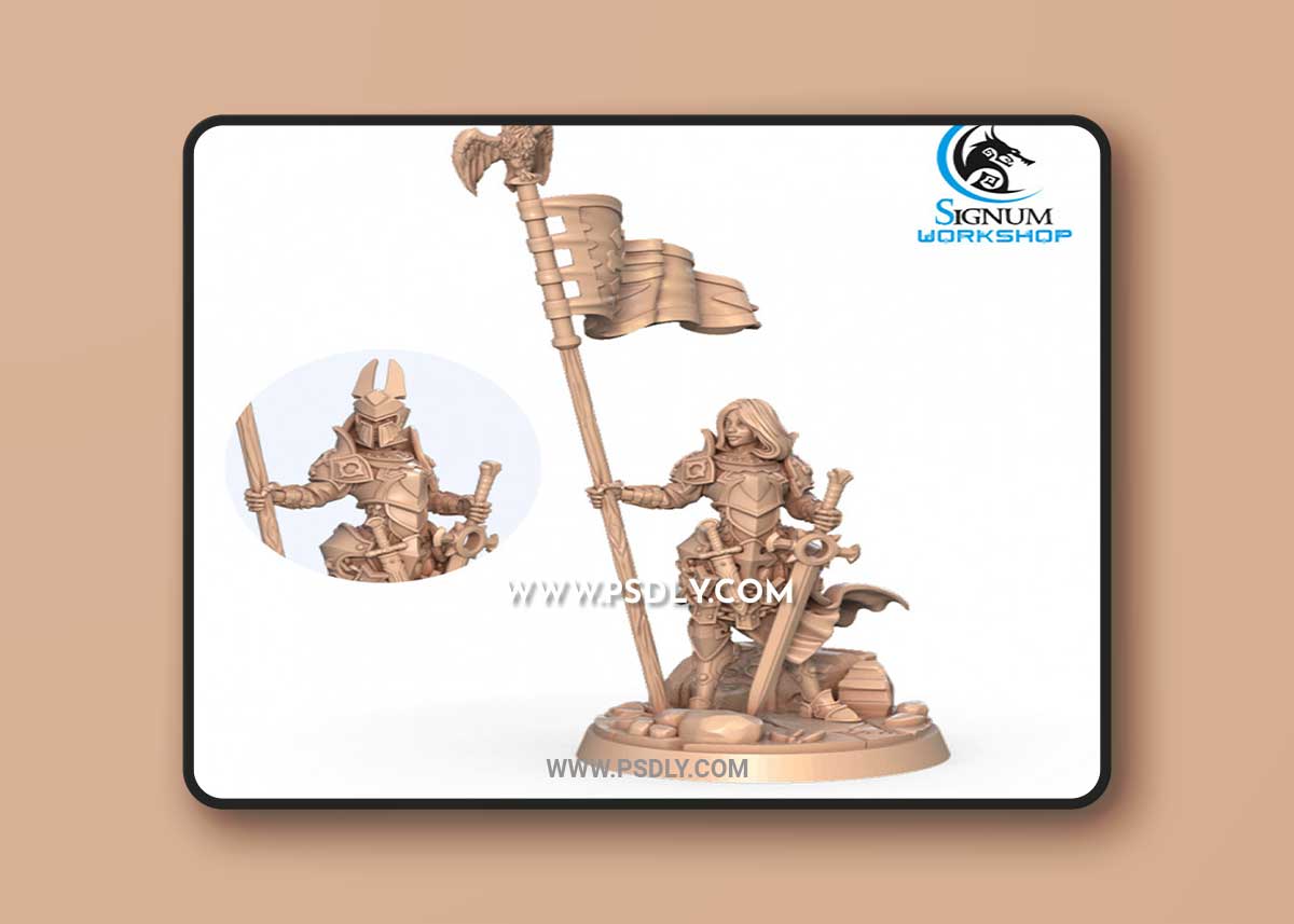 Rena Scilia the Standard Bearer 3D Print 1 Rena Scilia the Standard Bearer 3D Print
