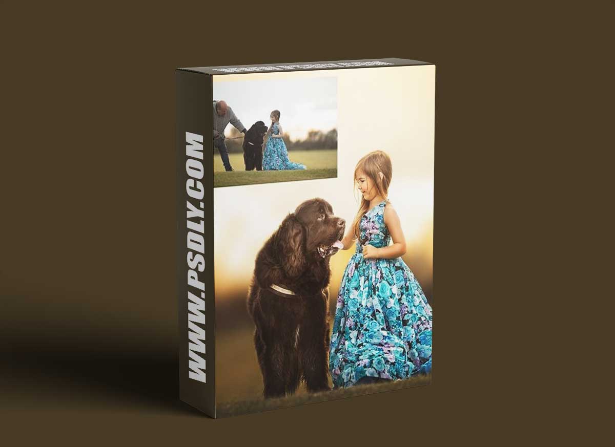 Sweet Soul Studio - Morse The Pooch 1 Sweet Soul Studio - Morse The Pooch