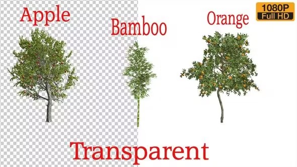 Videohive 3 Types Tree Animation Pack 24132907 1 Videohive 3 Types Tree Animation Pack 24132907