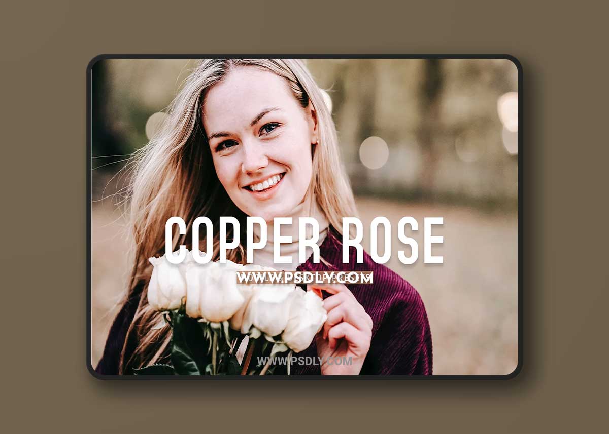 CreativeMarket - Copper Rose Pro Lightroom Presets 10243235 1 CreativeMarket - Copper Rose Pro Lightroom Presets 10243235
