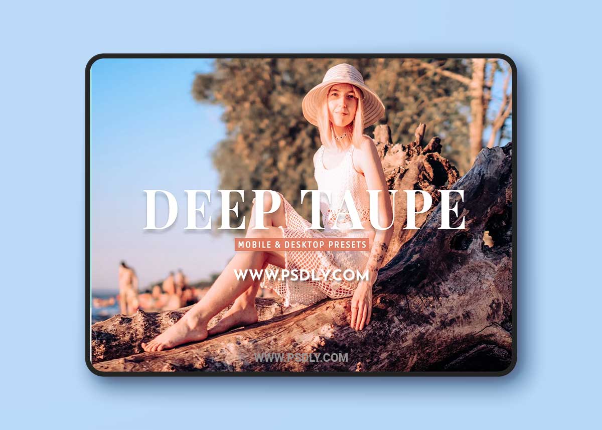 CreativeMarket - Deep Taupe Pro Lightroom Presets 10243236 1 CreativeMarket - Deep Taupe Pro Lightroom Presets 10243236