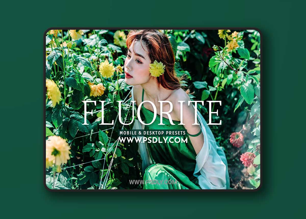 CreativeMarket - Fluorite Pro Lightroom Presets 10243239 1 CreativeMarket - Fluorite Pro Lightroom Presets 10243239