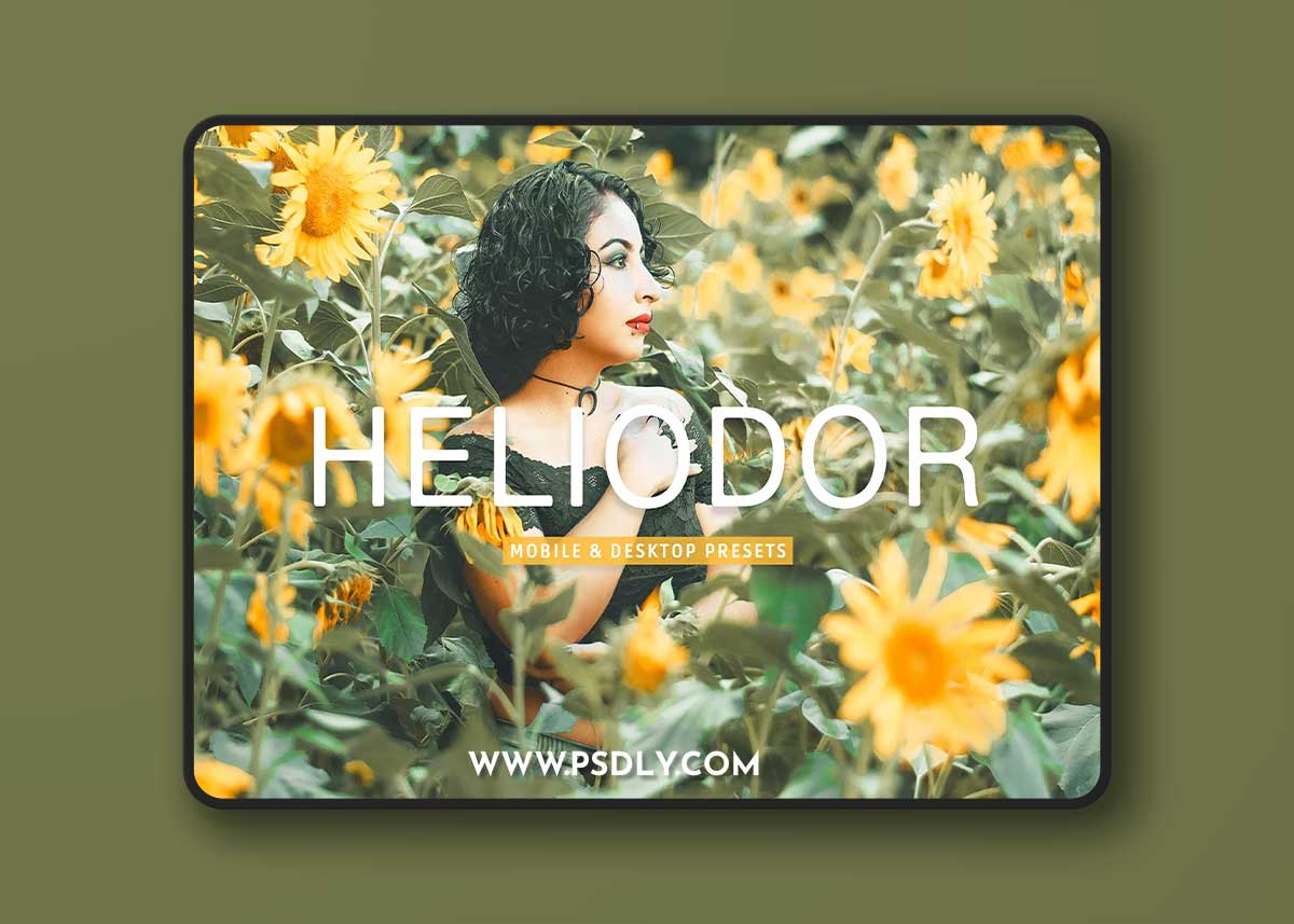CreativeMarket - Heliodor Pro Lightroom Presets 10277029 1 CreativeMarket - Heliodor Pro Lightroom Presets 10277029