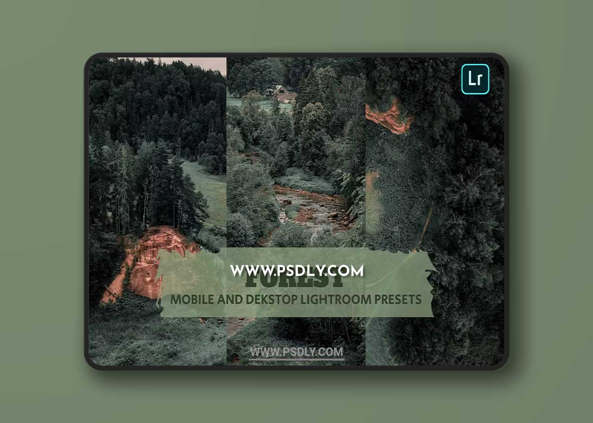 Forest Lightroom Presets Dekstop and Mobile 6FE9S6N 1 Forest Lightroom Presets Dekstop and Mobile 6FE9S6N