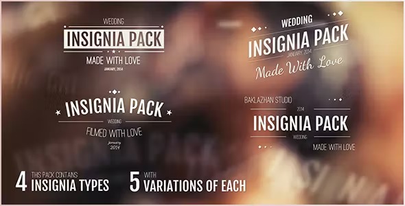 Videohive 20in1 Intro Insignias Pack 6587844 1 Videohive 20in1 Intro Insignias Pack 6587844