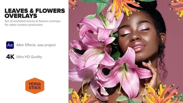 Videohive Leaves & Flowers Overlays 40203359 1 Videohive Leaves & Flowers Overlays 40203359