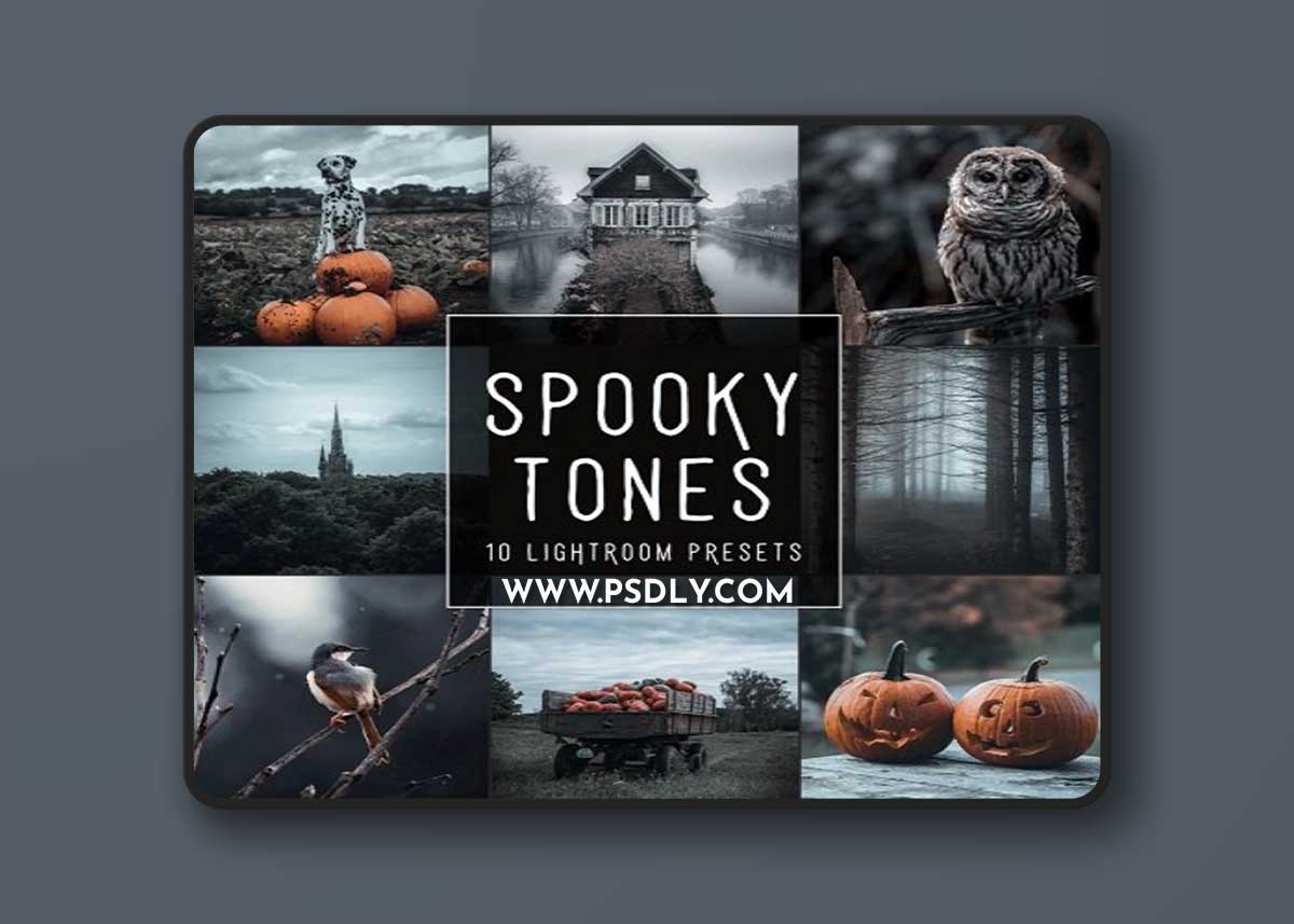Woodland - Spooky Tones LIMITED Lightroom Presets Pack 1 Woodland - Spooky Tones LIMITED Lightroom Presets Pack