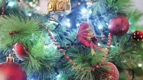 Videohive Christmas Night 40270495 1 Videohive Christmas Night 40270495