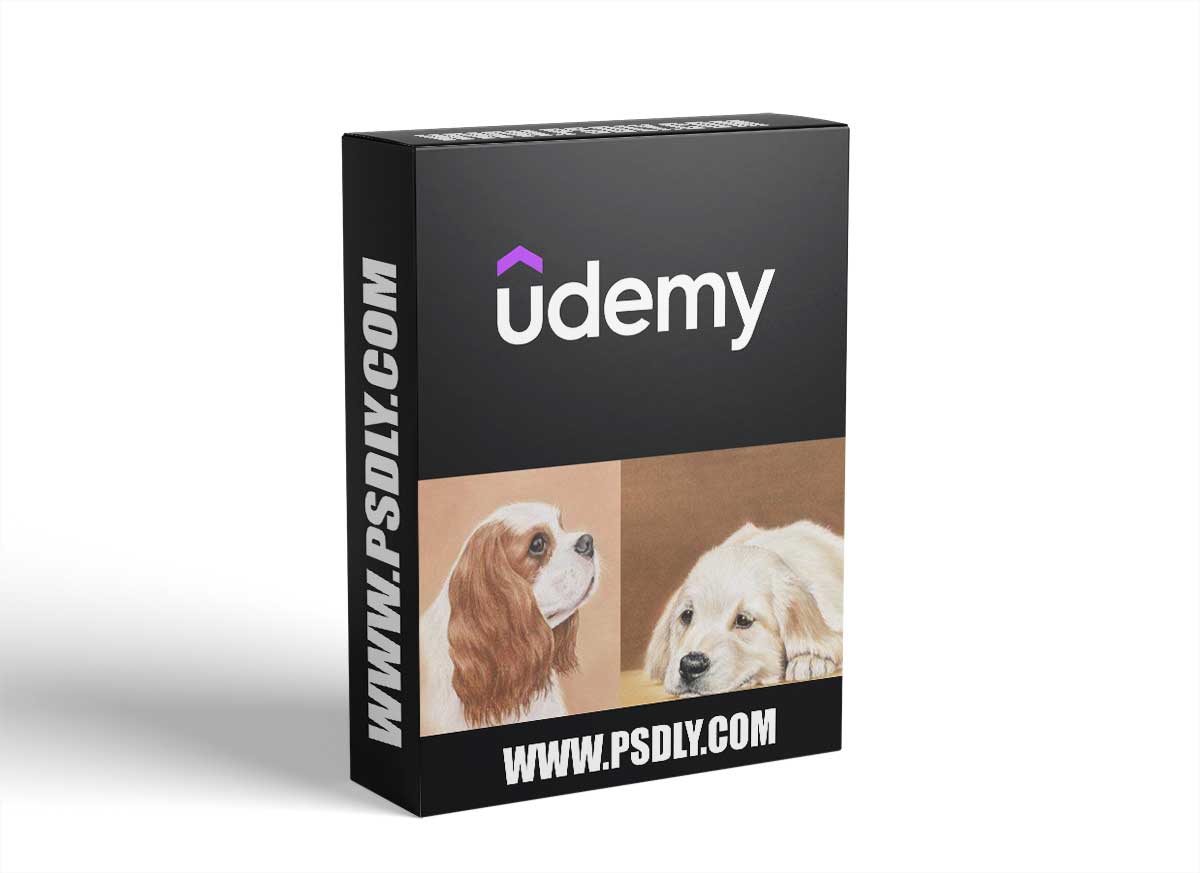 Colouring Dogs For Beginners | Just 8 Pencils! 1 Colouring Dogs For Beginners | Just 8 Pencils!