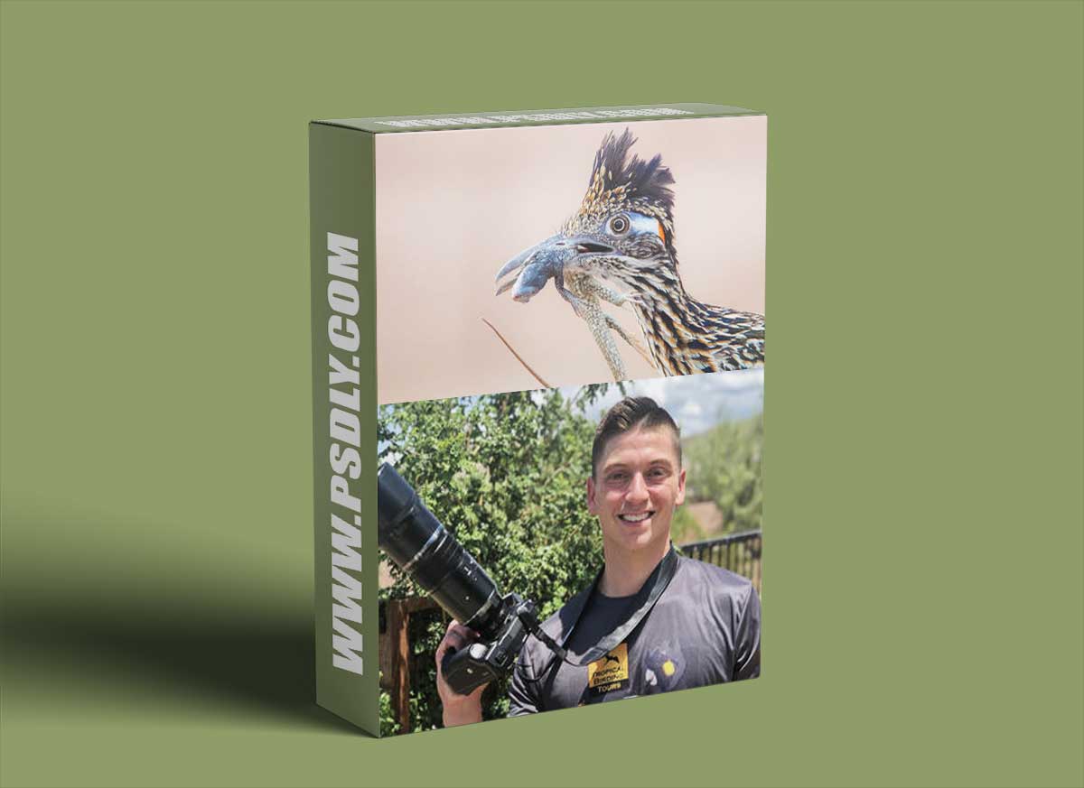 CreativeLive - Beginner's Guide to Bird Photography 1 CreativeLive - Beginner's Guide to Bird Photography