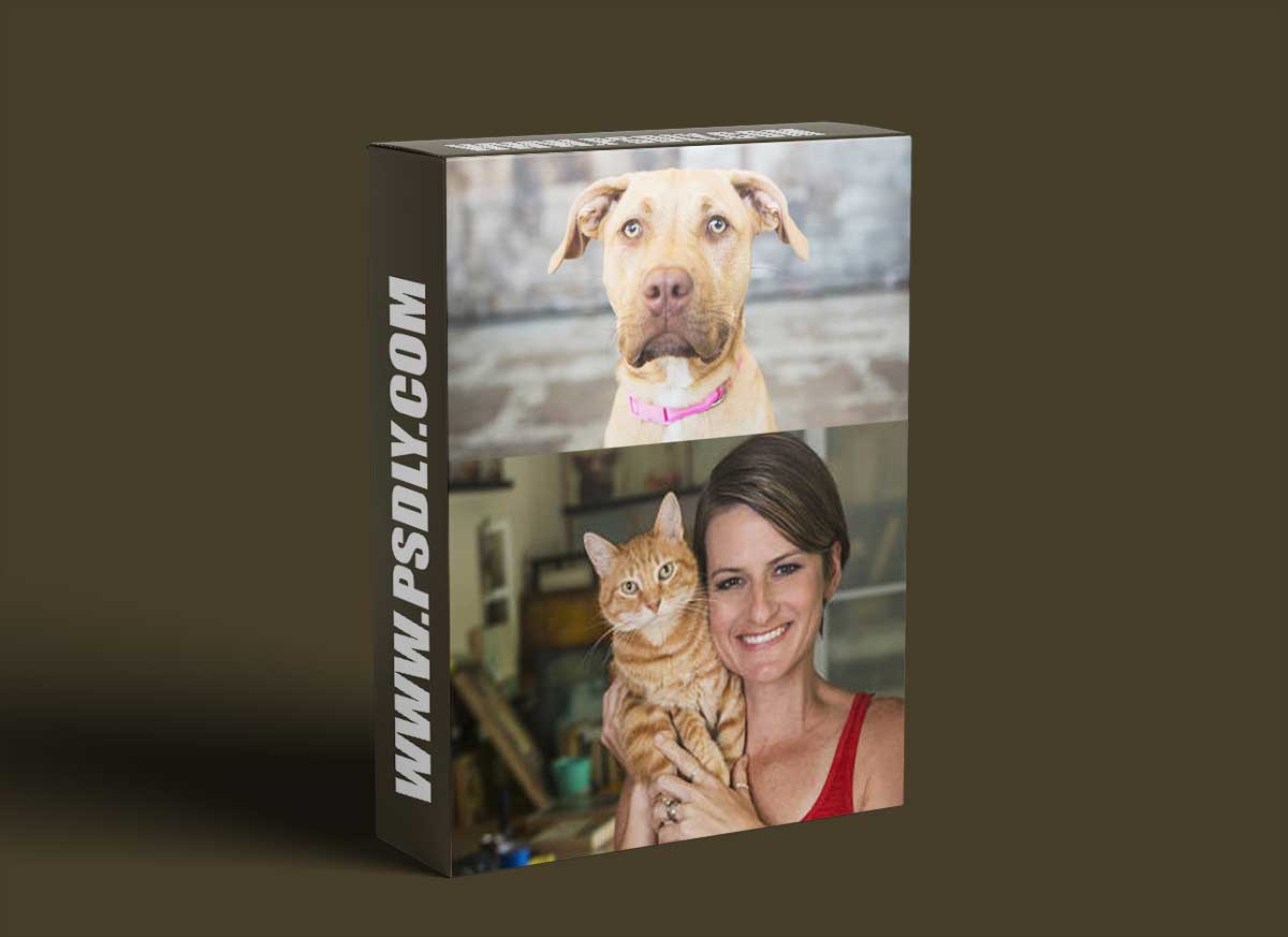 CreativeLive - Integrating Animal Photography into your Business 1 CreativeLive - Integrating Animal Photography into your Business