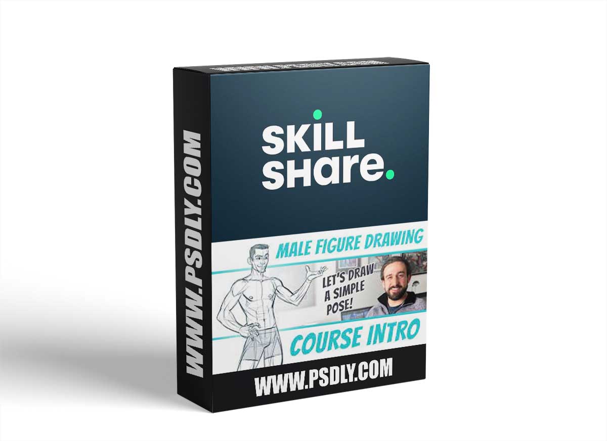 Figure Drawing Basics - The Male Figure 1 Figure Drawing Basics - The Male Figure