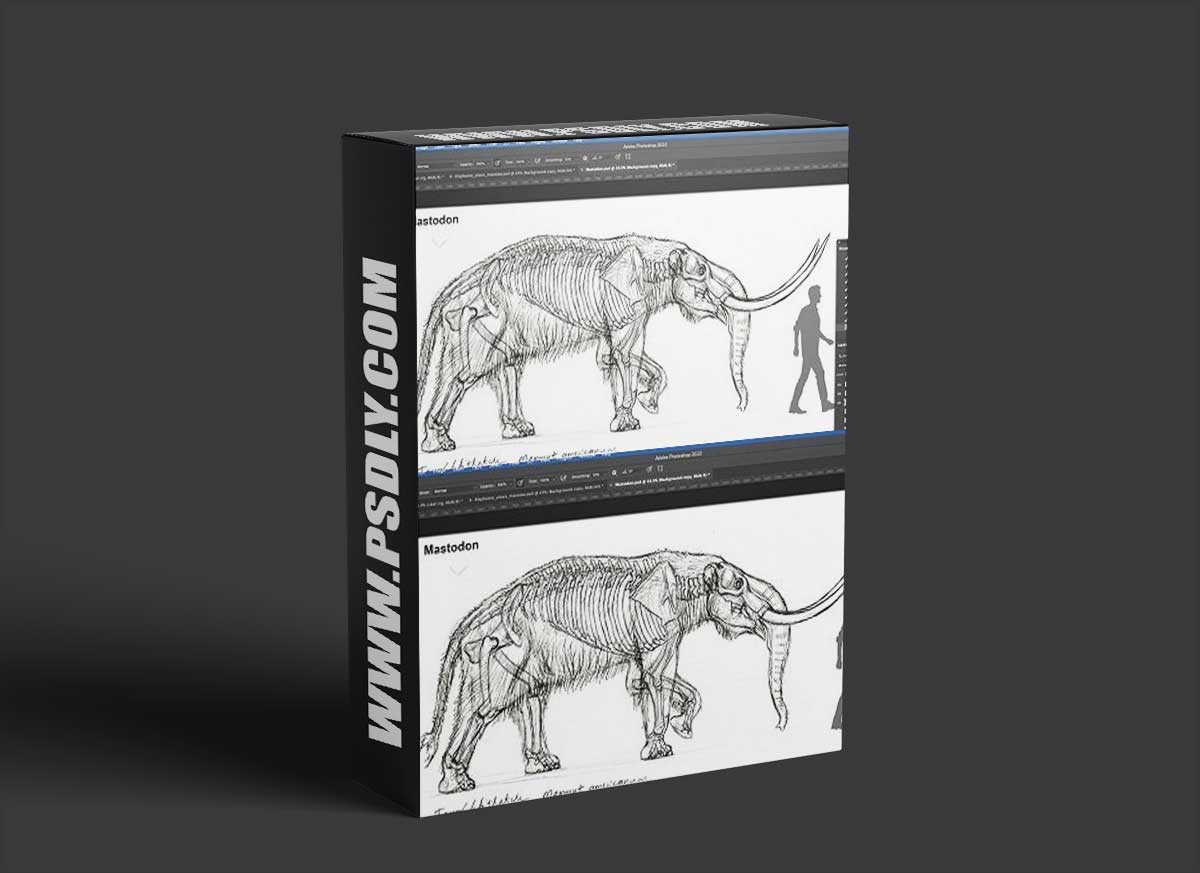 The Gnomon Workshop - Elephant Anatomy Vol. 2: Prehistoric Studies & Imaginary Concepts 1 The Gnomon Workshop - Elephant Anatomy Vol. 2: Prehistoric Studies & Imaginary Concepts