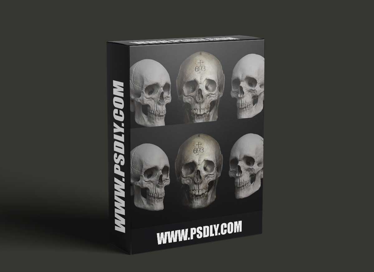 The Gnomon Workshop - Sculpting the Human Skull 1 The Gnomon Workshop - Sculpting the Human Skull