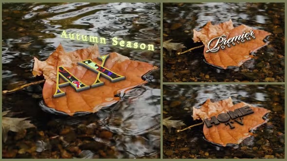 Videohive Autumn Yellow Leaf And Logo 40538938 1 Videohive Autumn Yellow Leaf And Logo 40538938