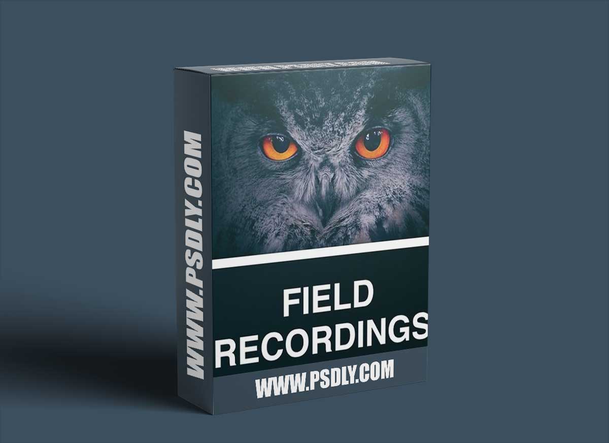 Whitenoise Records Field Recordings WAV-RYZEN 1 Whitenoise Records Field Recordings WAV-RYZEN
