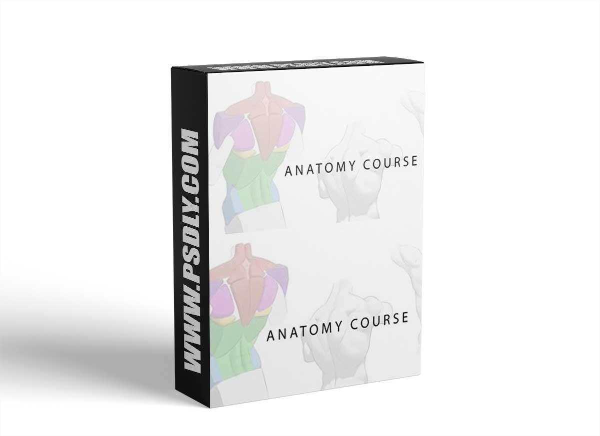 Art-Wod Anatomy for Concept Artists by Antonio Stappaerts 1 Art-Wod Anatomy for Concept Artists by Antonio Stappaerts