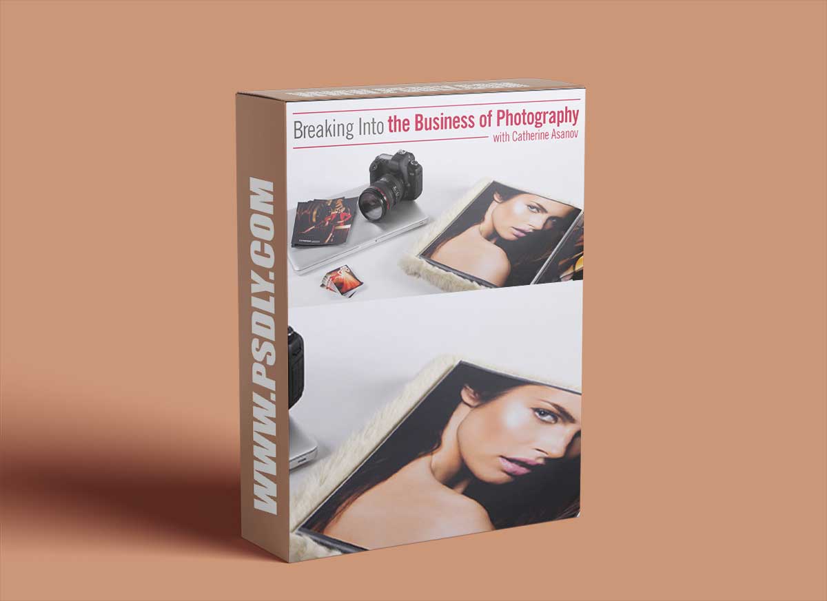 Breaking Into the Business of Photography 1 Breaking Into the Business of Photography