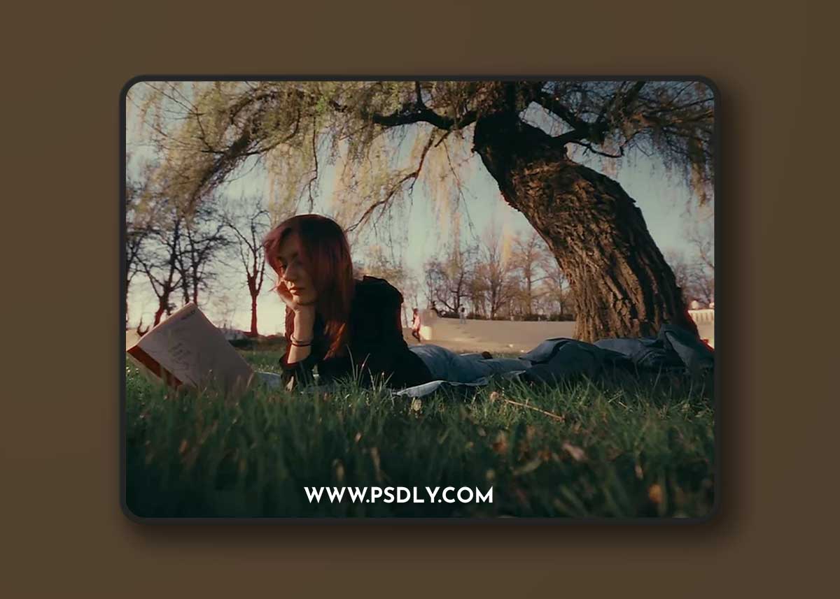 Davinci Resolve - Super 8mm Home Film Emulation Power Grades 1 Davinci Resolve - Super 8mm Home Film Emulation Power Grades