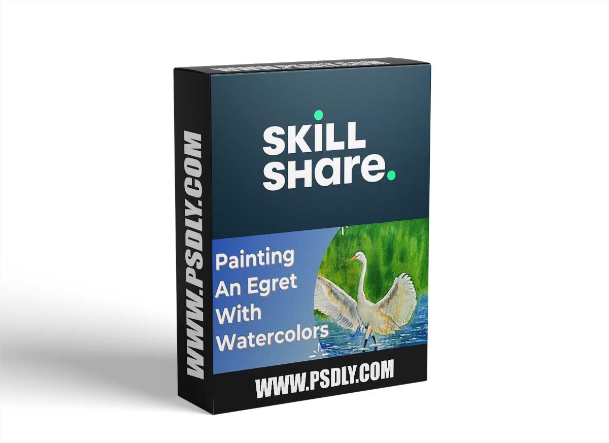 Painting An Egret with Watercolors 1 Painting An Egret with Watercolors