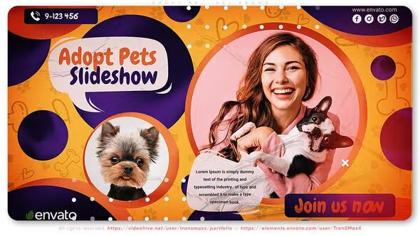 Videohive Adopt Me - Pet Promo 42500372 1 Videohive Adopt Me - Pet Promo 42500372