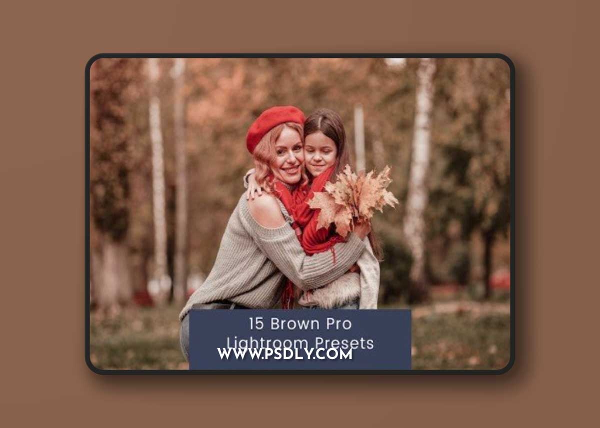 15 Brown Pro Lightroom Presets 1 15 Brown Pro Lightroom Presets