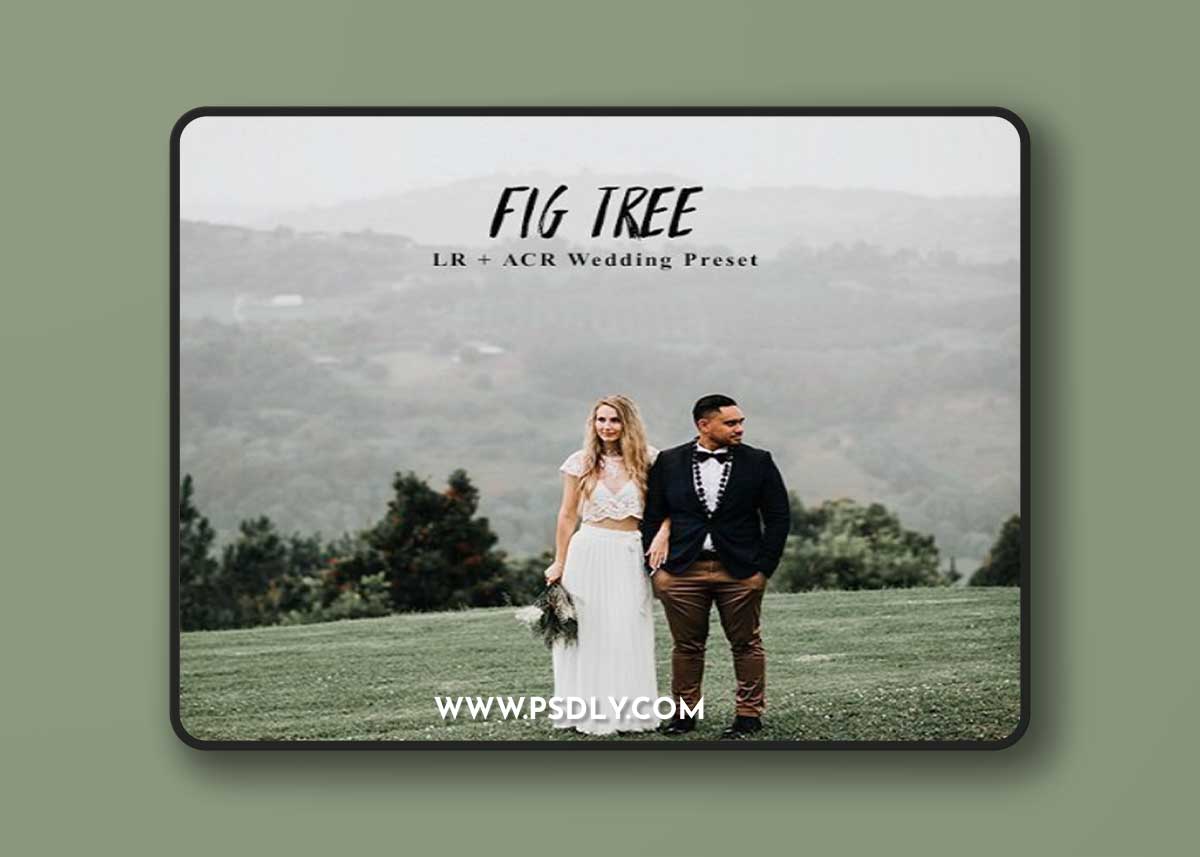 Andrewsuncolor - Fig Tree Lightroom Presets 1 Andrewsuncolor - Fig Tree Lightroom Presets