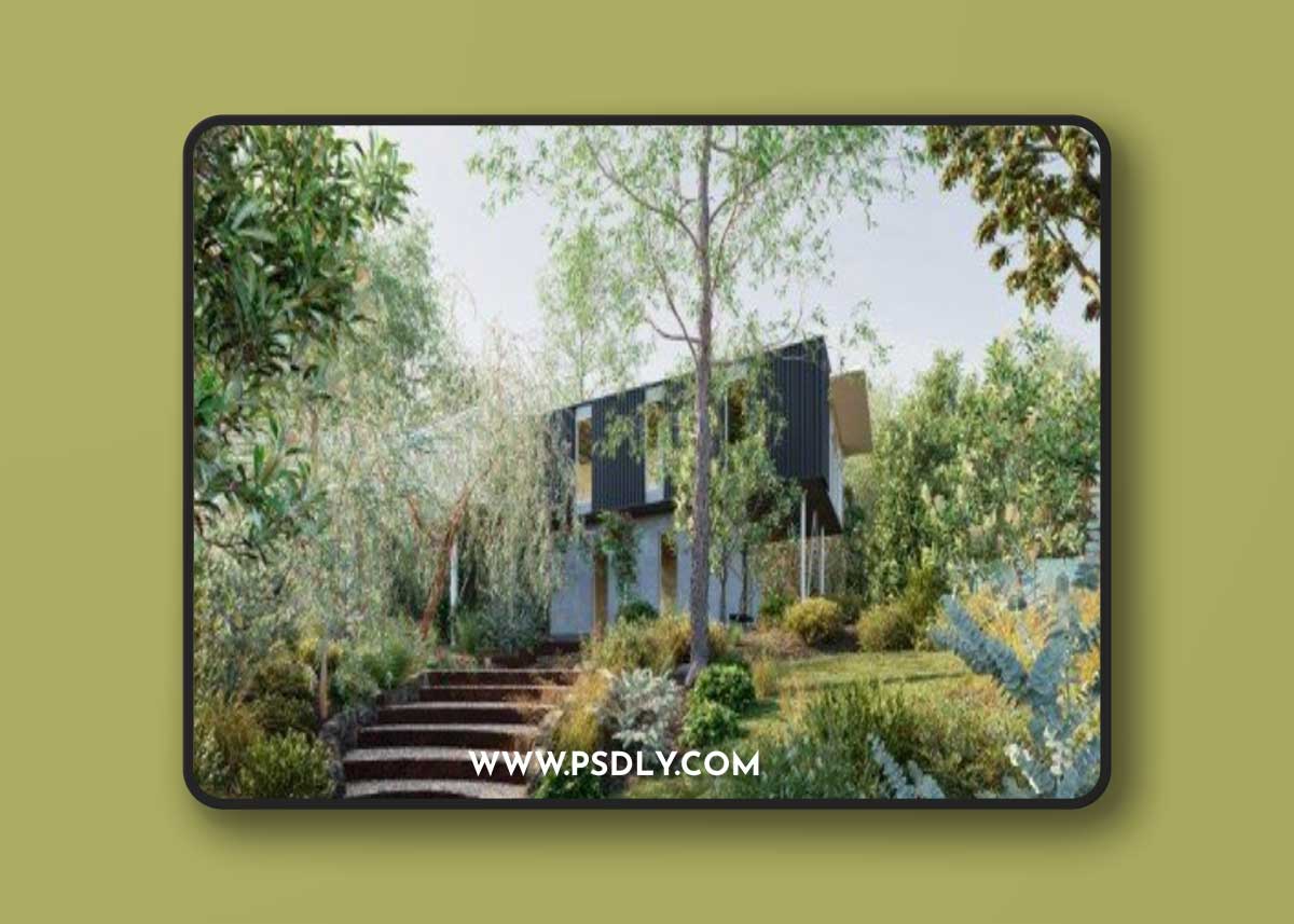 Globe Plants - Bundle 38 - Australian Home & Garden Plants 04 (MAX) 1 Globe Plants - Bundle 38 - Australian Home & Garden Plants 04 (MAX)