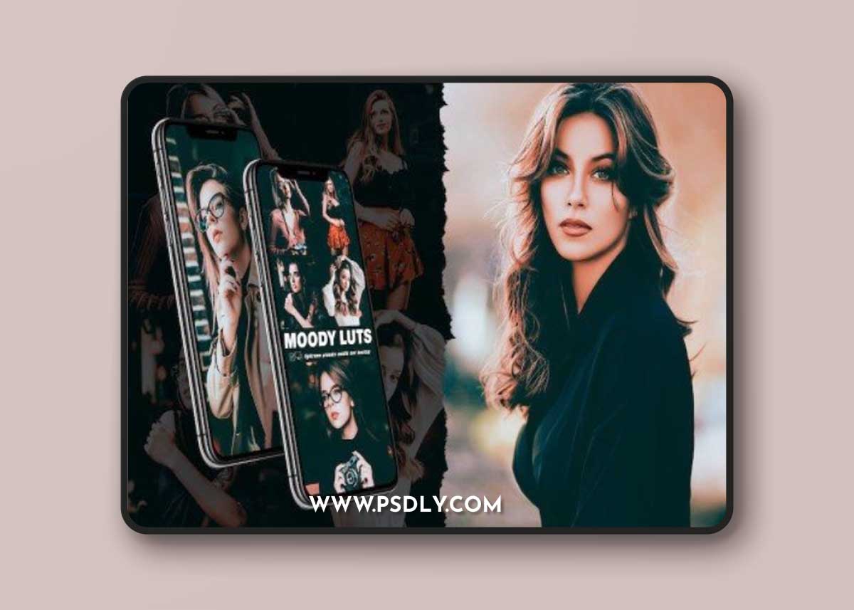 Moody LUTS Lightroom Presets Mobile and Desktop 1 Moody LUTS Lightroom Presets Mobile and Desktop