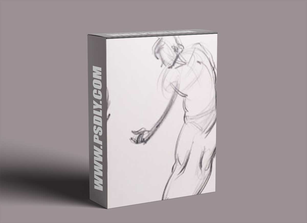 New Masters Academy - Drawing with FORCE: Torso Templates 1 New Masters Academy - Drawing with FORCE: Torso Templates