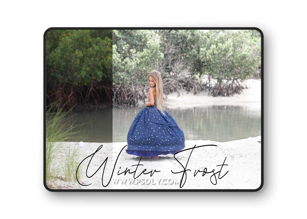 Sweet Soul Studio - Winter Frost Action 1 Sweet Soul Studio - Winter Frost Action