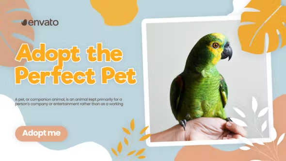 Videohive Adopt Pet Promo 42800787 1 Videohive Adopt Pet Promo 42800787