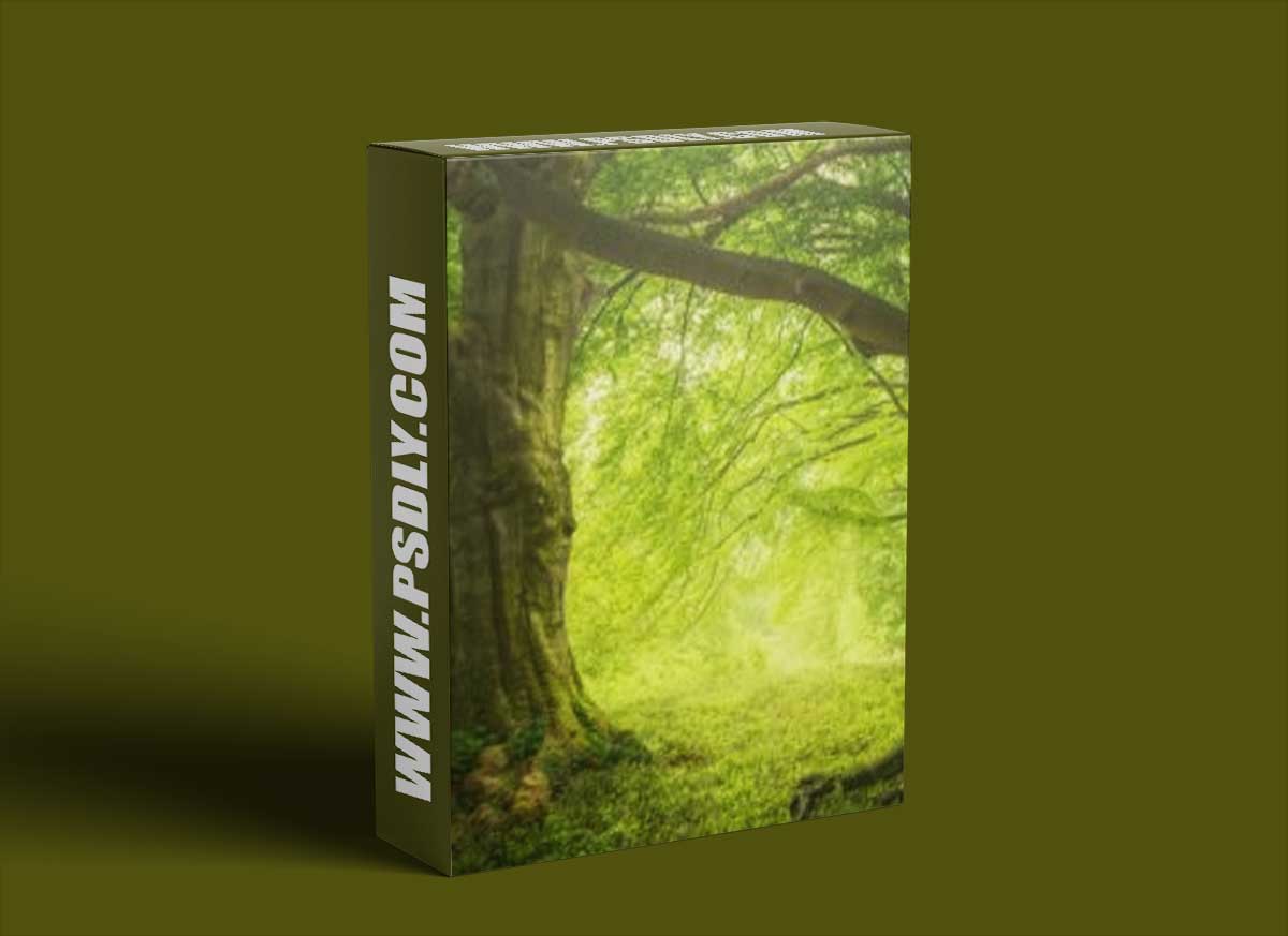 Adrian Sommeling - Magic Forest Speed post process 1 Adrian Sommeling - Magic Forest Speed post process