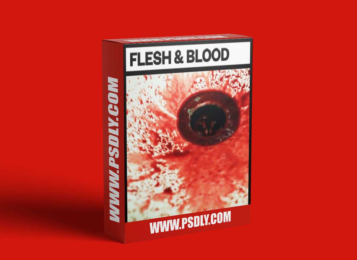 Big Room Sound Flesh and Blood 1 Big Room Sound Flesh and Blood