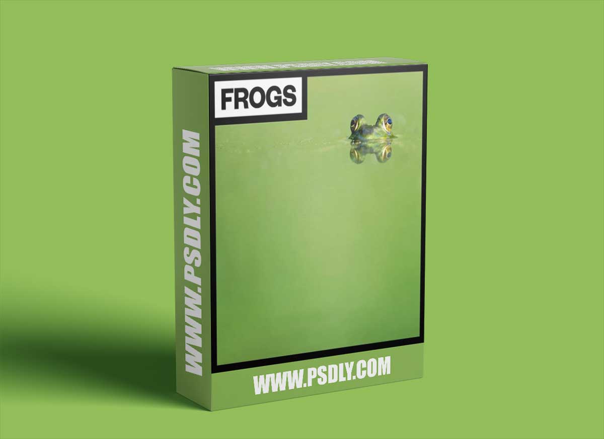 Big Room Sound Frogs 1 Big Room Sound Frogs