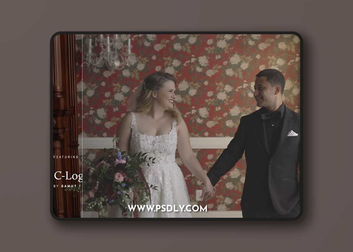 Gamut – Canon Conversion LUTs for C-Log / C-Log 3 1 Gamut – Canon Conversion LUTs for C-Log / C-Log 3