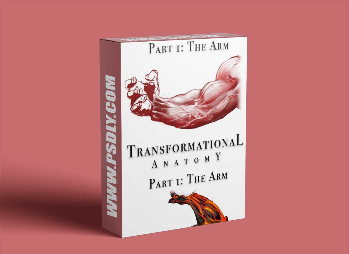 Gumroad - Transformational Anatomy Part 1: The Arm - Steven Zapata 1 Gumroad - Transformational Anatomy Part 1: The Arm - Steven Zapata
