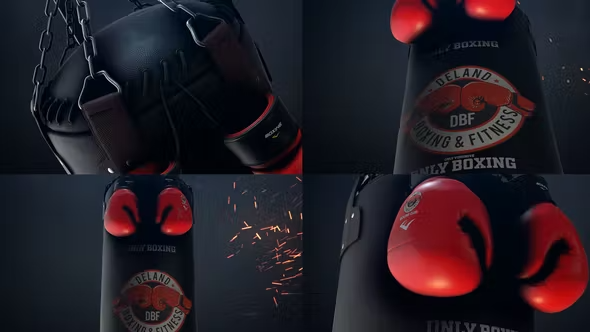 Videohive Boxing Gloves Logo Reveal 25009365 1 Videohive Boxing Gloves Logo Reveal 25009365