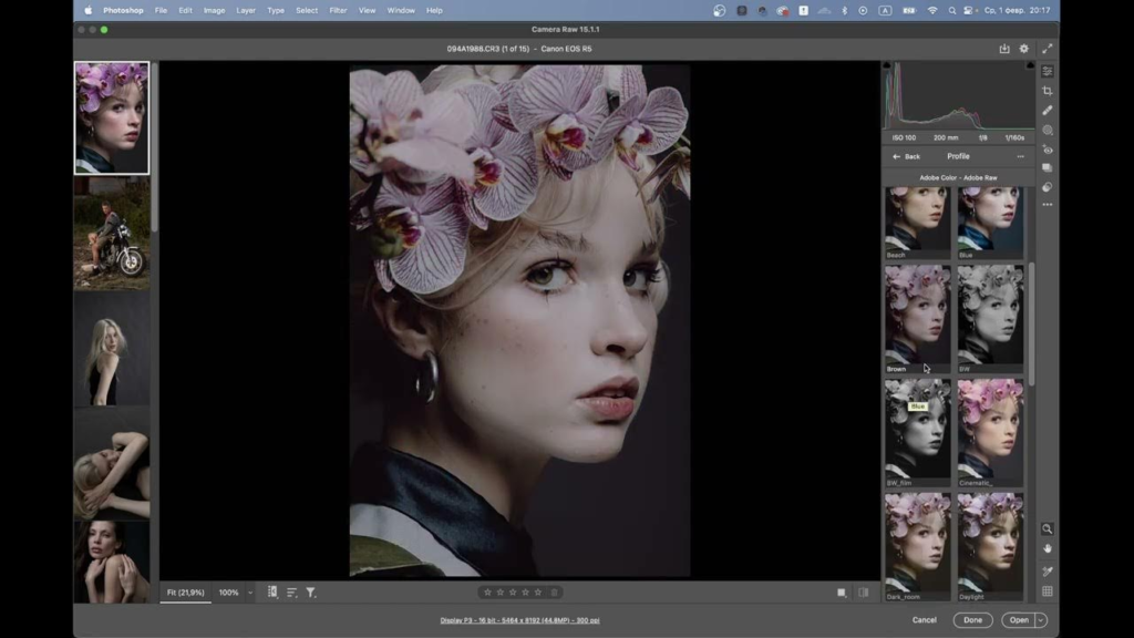 Preview