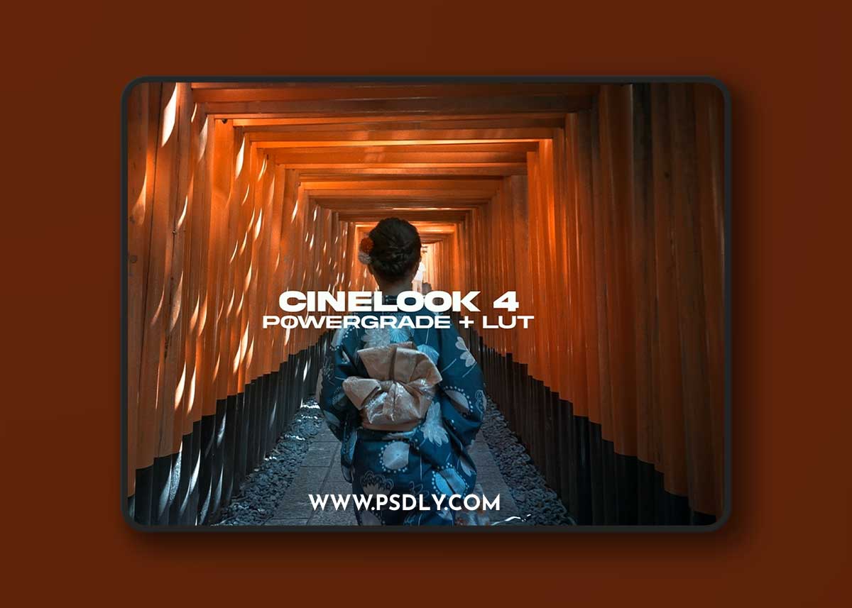 Nomadic George - CineLook 4 DaVinci Resolve PowerGrade + LUT (2023) 1 Nomadic George - CineLook 4 DaVinci Resolve PowerGrade + LUT (2023)
