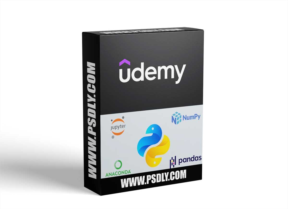 Python Programming Fundamentals with AI Insights 1 Python Programming Fundamentals with AI Insights
