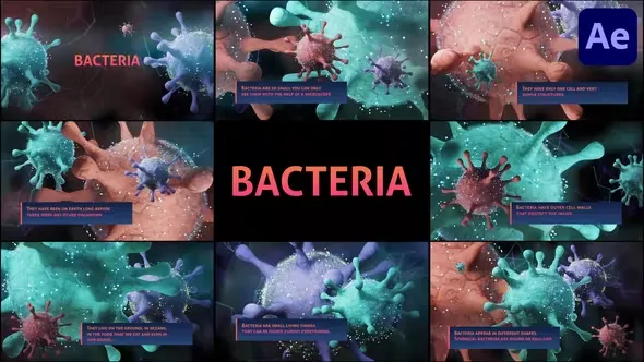 Videohive Bacteria for After Effects 44312858 1 Videohive Bacteria for After Effects 44312858