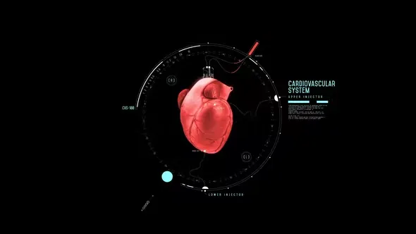 Videohive HUD Heart Chambers 44587954 1 Videohive HUD Heart Chambers 44587954