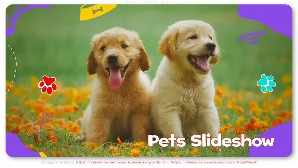 Videohive Welcome Pet 44373316 1 Videohive Welcome Pet 44373316
