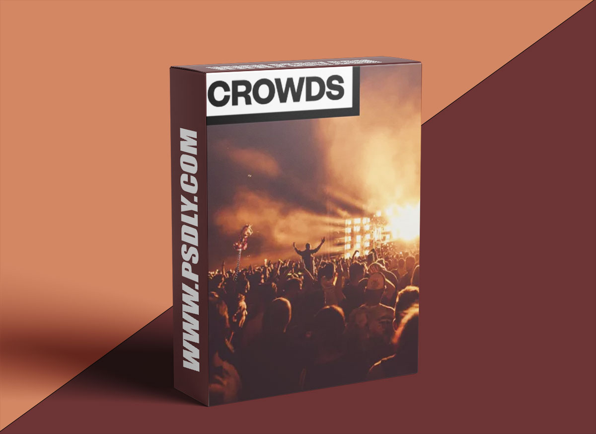 Big Room Sound Crowds 1 Big Room Sound Crowds