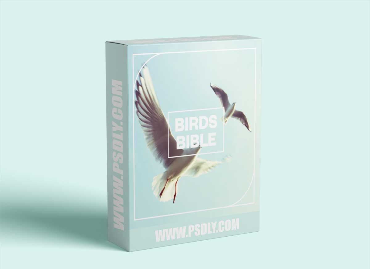 Blastwave FX Birds Bible 1 Blastwave FX Birds Bible