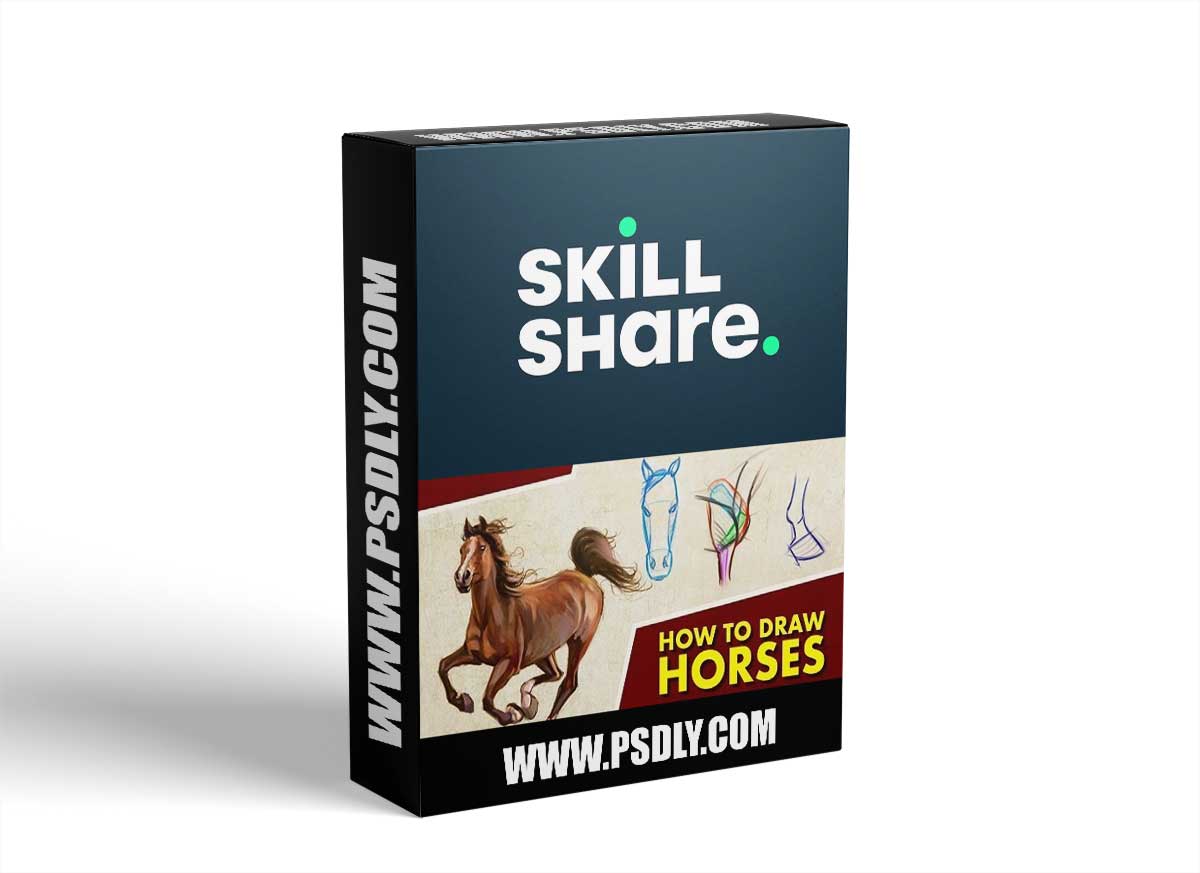 How To Draw Horses - A Beginner's Guide 1 How To Draw Horses - A Beginner's Guide